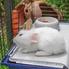 FERPLAST Rabbit 120 - Käfig Produktbild-Vorschau 8