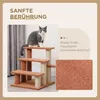 PawHut Haustiertreppe mit Kratzbaum Ball 3-stufige Produktbild-Vorschau 6