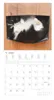 A cat is lying in a box on a wooden surface, with a calendar page below it. Produktbild-Vorschau