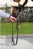Kentucky Horsewear Führstrick Vorführstrick robust & Produktbild-Vorschau 9
