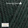 Schachenmayr Bravo, 50g Waldgrün Handstrickgarne Produktbild-Vorschau 2