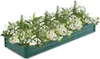 Clanmacy verhoogd plantbed, tuinbed, plantenbak, Productafbeelding-voorbeeld 9