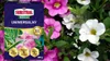 Universaldünger für Zimmerpflanzen 300g Produktbild-Vorschau 9