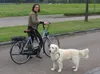 Vodítko pre psa M-Wave na bicykel s rukoväťou 92 cm Náhľad obrázku produktu 7