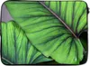 MuchoWow® Laptop Hülle 13 Zoll Foto von großen tropischen Produktbild-Vorschau 1