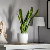Vaso da fiori KADAX "Agen", fioriera con sottovaso, bianco, Anteprima dell’immagine prodotto 14
