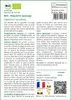 SAFLAX  -- Roquette sauvage - 1500 graines - Diplotaxis Voir les images du produit 3