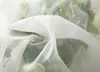 WOLTU VH5513cm, Gardinen Vorhang transparent mit Ösen Produktbild-Vorschau 4