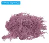 1.8 OZ Kunstmoos Konserviertes Rentiermoos Kš¹nstliches Produktbild-Vorschau 1