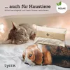 Kissenhülle mit Zirbenspäne Zirben-Kissen Náhled obrázku produktu