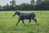 A horse wearing a blue blanket with green trim is running in a grassy field. Produktbild-Vorschau