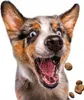 JosiDog Economy (1 x 15 kg) | Adult | Premium Trockenfutter Produktbild-Vorschau 9