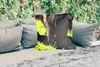 MuchoWow® Outdoor Kissen - Schottisches Hochlandrind - Produktbild-Vorschau 2