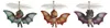 Gross Moss Flying Dino grigio521549 521556 Anteprima dell’immagine prodotto 9