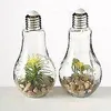 LED Tischleuchte mit Pflanze Ø 11 cm H 23 cm Glas 2-er Set Produktbild-Vorschau 2