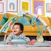 Bright Starts 5 w 1 zabawka aktywizująca + basen z Podgląd zdjęcia produktu 7