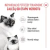 Royal Canin Chat – Trockenfutter für Mutterkatzen und Produktbild-Vorschau 13