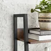 A close-up view of a shelf on a bookshelf, showing books and a potted plant. Produktbild-Vorschau