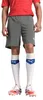 PUMA Herren Teamrise Strick-Shorts, Smoked Pearl-puma Produktbild-Vorschau 1