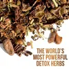 WOW TEA Cocoa Detox Tee – Premium Kräutertee mit Kakao, Produktbild-Vorschau 9