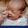 LOVI Smoczek silikonowy dynamiczny Botanic Boy 18 m+ 2 szt. Podgląd zdjęcia produktu 7