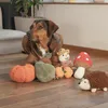 Beeztees Hundespielzeug Kürbis Koba aus Cord orange Produktbild-Vorschau 2