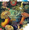 Cenega Imagination, 1000 kusov, Umenie Náhľad obrázku produktu 6