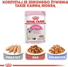 A marketing image for Royal Canin Kitten wet food, showing the product packaging and three different food textures. Náhled obrázku produktu