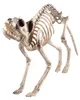Skelett Katzengerippe - Horror Halloween Deko Produktbild-Vorschau 2