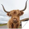 MuchoWow® Poster Schottischer Highlander - Kuh - Landschaft Produktbild-Vorschau 1