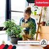 A woman is tending to plants indoors, with shelves and windows in the background. Produktbild-Vorschau