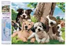 Norimpex Diamant Malerei Happy Dog Gruppe 30x40cm Produktbild-Vorschau 1