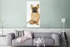 MuchoWow® Poster Französische Bulldogge - Weiß - Braun Produktbild-Vorschau 5