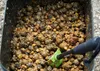 Karpfenfutter 18mm/1kg Dojrała Son Produktbild-Vorschau 7