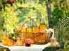 A collection of glass jars and bottles filled with preserves and liquids, arranged in a basket outdoors in a garden setting. Náhľad obrázku produktu