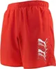 Short Puma 701226821-002 pour Homme Voir les images du produit 2
