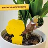 Solabiol Gelbsticker - 10 Stück - fängt fliegende Produktbild-Vorschau 9