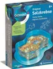 Clementoni Galileo Kleine Experimentierbox Salzkrebse Produktbild-Vorschau 9