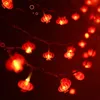 Guirlande lumineuse chinoise rouge - 6m/19,7ft, 40 lumières Voir les images du produit 2