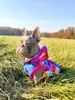 nted Dog Nepromokavá softshellová bunda pro psa - Rain Náhled obrázku produktu 2