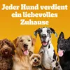 PEDIGREE® JUMBONE™ Riesenknochen Beutel Medium mit Rind und Produktbild-Vorschau 5