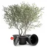BigDean, 1 stuks bloempot met onderzetter, rond, diameter Productafbeelding-voorbeeld 2