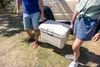 Coleman Pro 45qt Kühlbox Produktbild-Vorschau 9