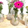 Annastore Dekorative Glasvasen, 12er Set, verschiedene Produktbild-Vorschau 3