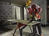 DeWALT DWE397-QS Spezialsäge Alligator 17 Zoll - 430mm - Produktbild-Vorschau 17