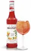 Sirup Monin Orange Spritz Náhľad obrázku produktu 9