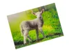 3 D Ansichtskarte Schäfchen, Postkarte Wackelkarte Produktbild-Vorschau 2
