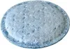 A single, round, light blue filter pad with a textured surface and a darker blue rim, isolated on a white background. Produktbild-Vorschau