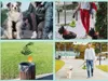 Sacchetti biodegradabili per escrementi di cani, 360 pezzi Anteprima dell’immagine prodotto 3