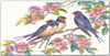 Coloray Küchenrückwand 120x60 Spritzschutz aus Glas - Tiere Produktbild-Vorschau 1